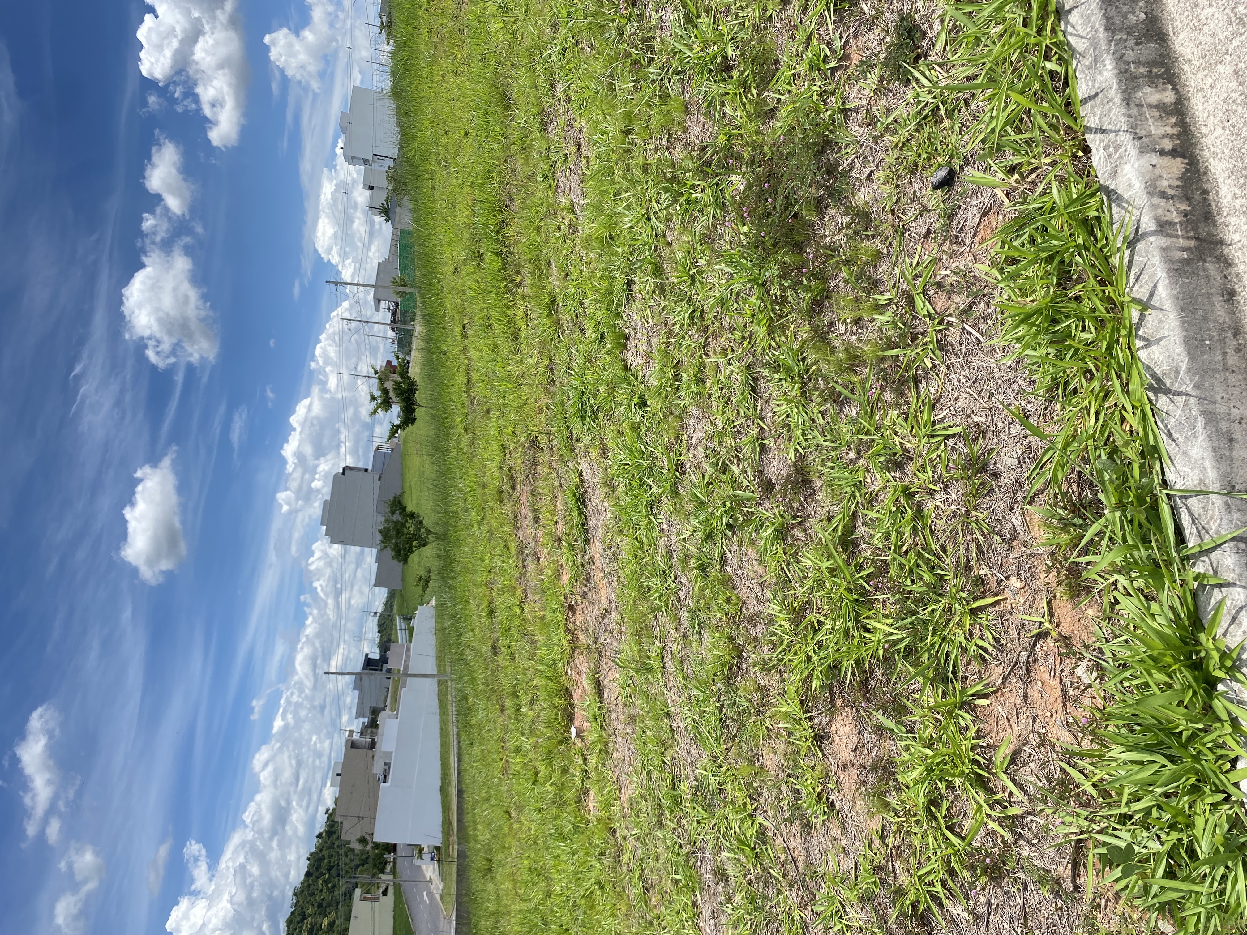 LOTE COMERCIAL- RESERVA DO VALLE 1