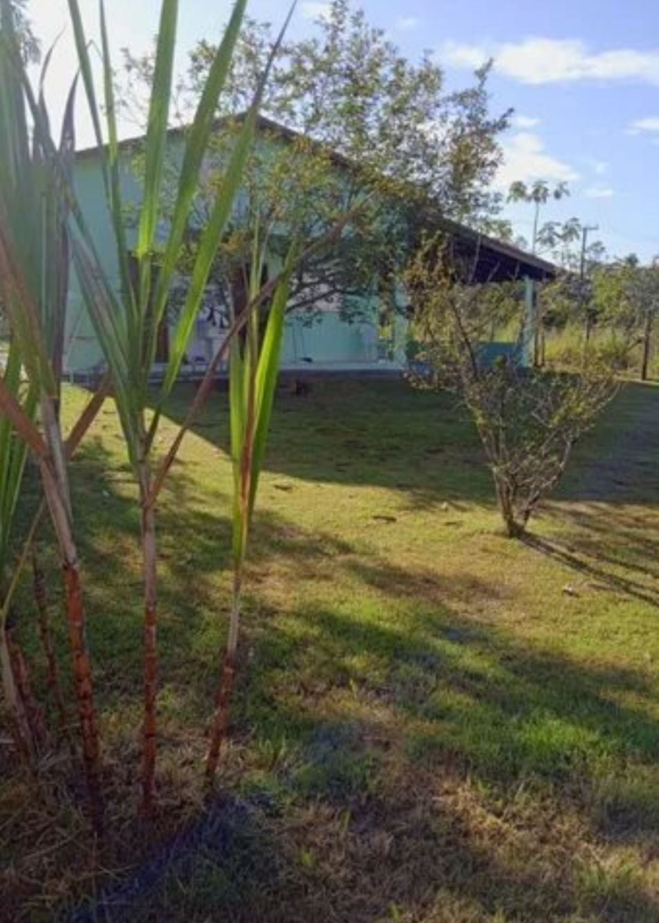 VIVA PERTINHO DA NATUREZA 