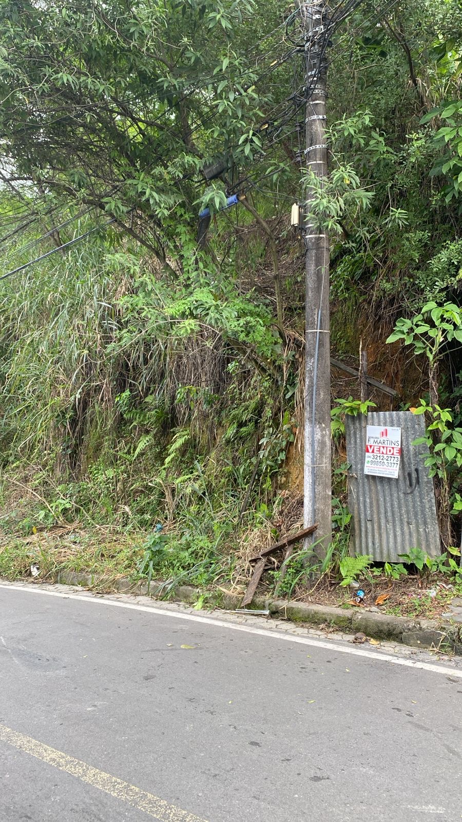 TERRENO AVENIDA GOIÁS 