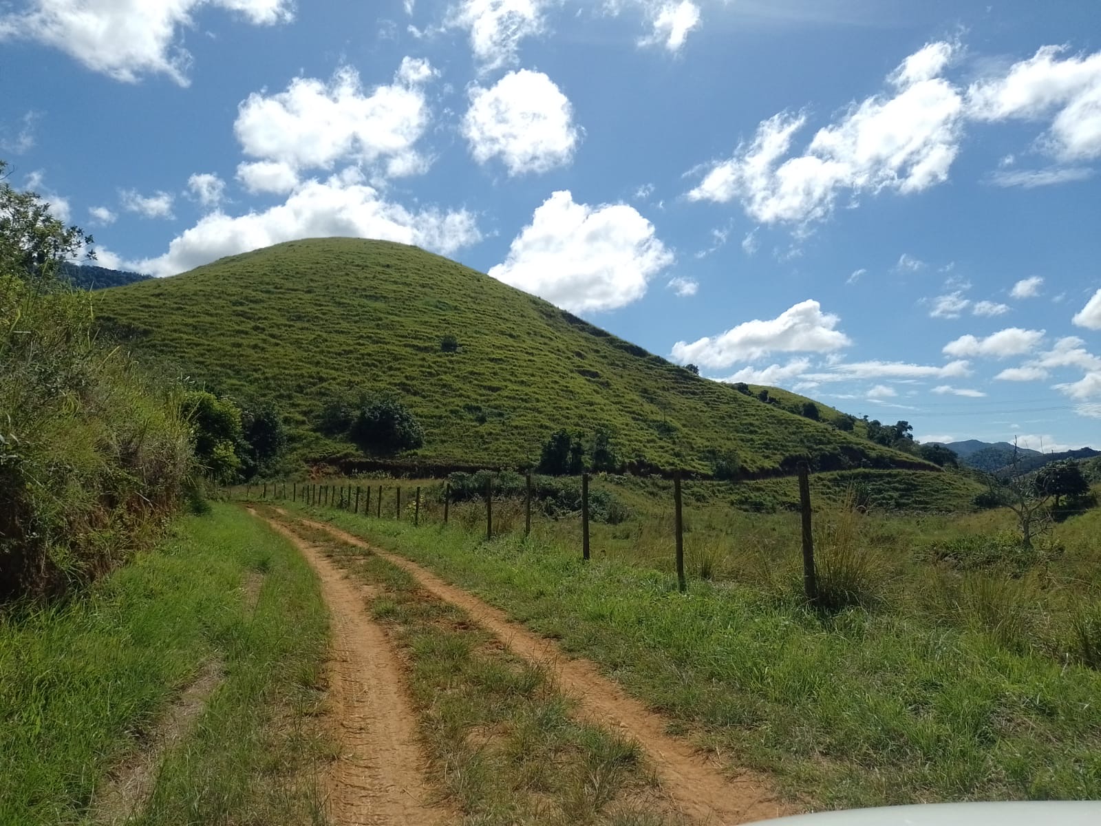 55 alqueires ( 224 hectares )