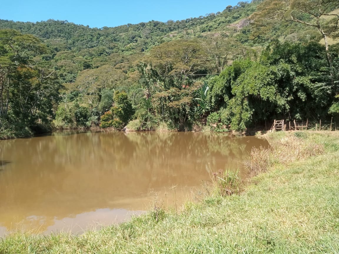 10 HECTARES-STA IZABEL DO RIO PRETO